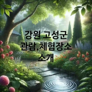 강원 고성군 관람,체험 장소 추천 TOP 1
