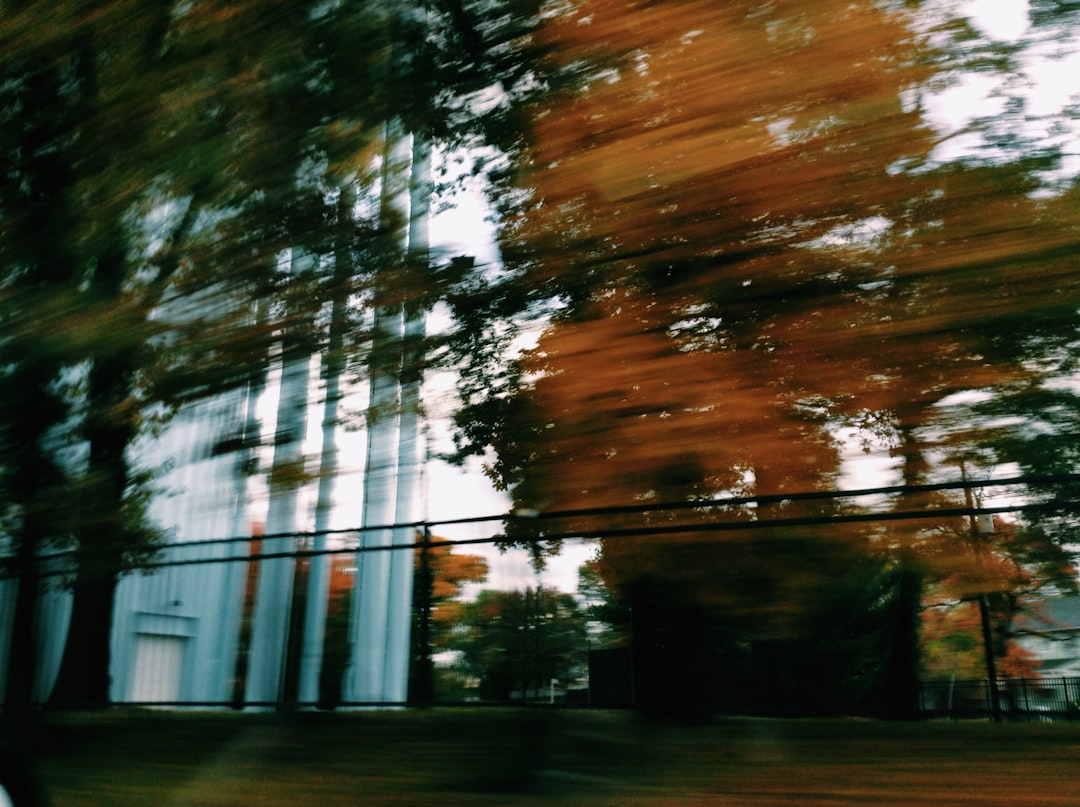 단풍 절정! 10월 국내 여행지 BEST 5 & 숨겨진 명소