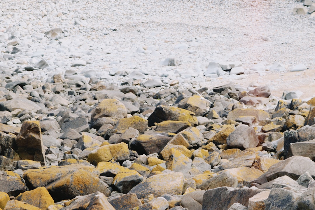시니어 건강 한단계 업그레이드 산길 은석암코스 강추…