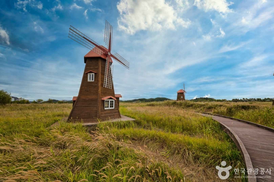 소래습지생태공원 이미지