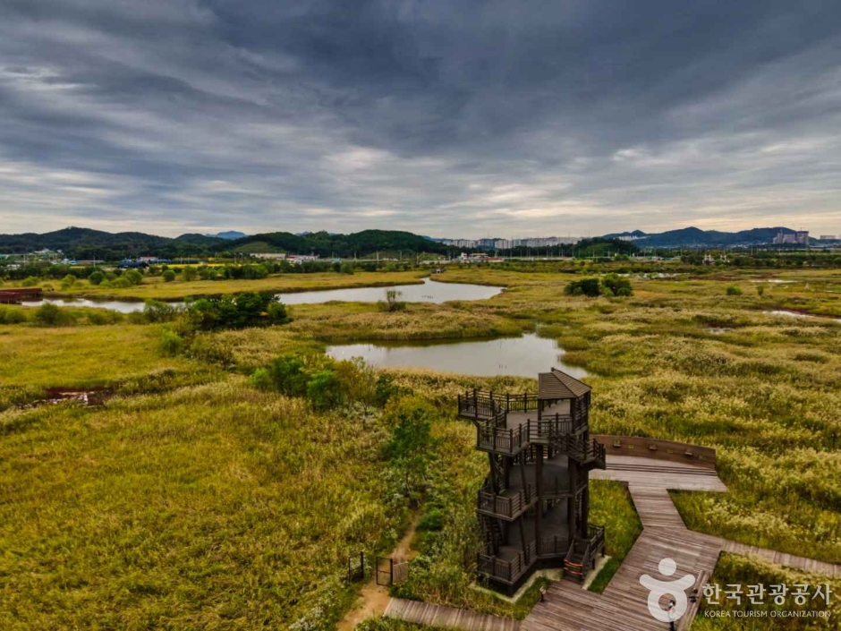 소래습지생태공원 이미지