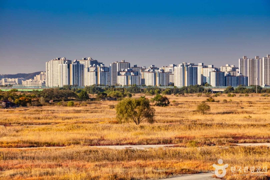 소래습지생태공원 이미지