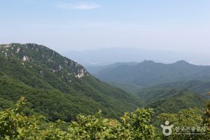 대구의 자연을 품은 팔공산에 오르다.