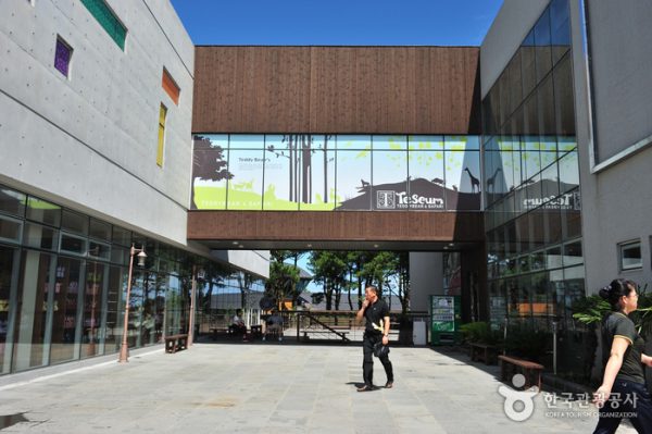 온가족이 함께 떠나는 제주 중문단지여행