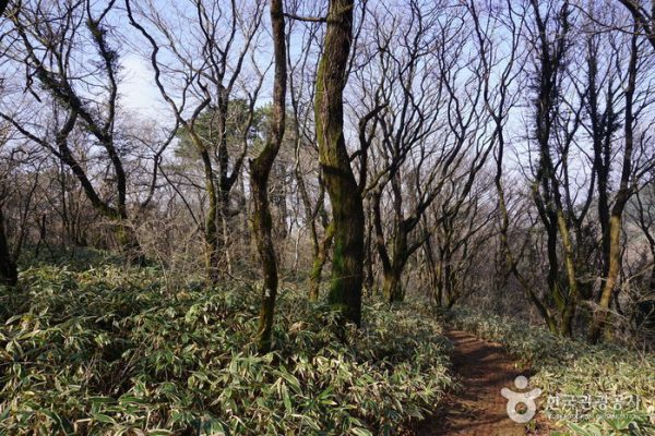 있는 그대로 제주의 자연을 거닐어볼 코스