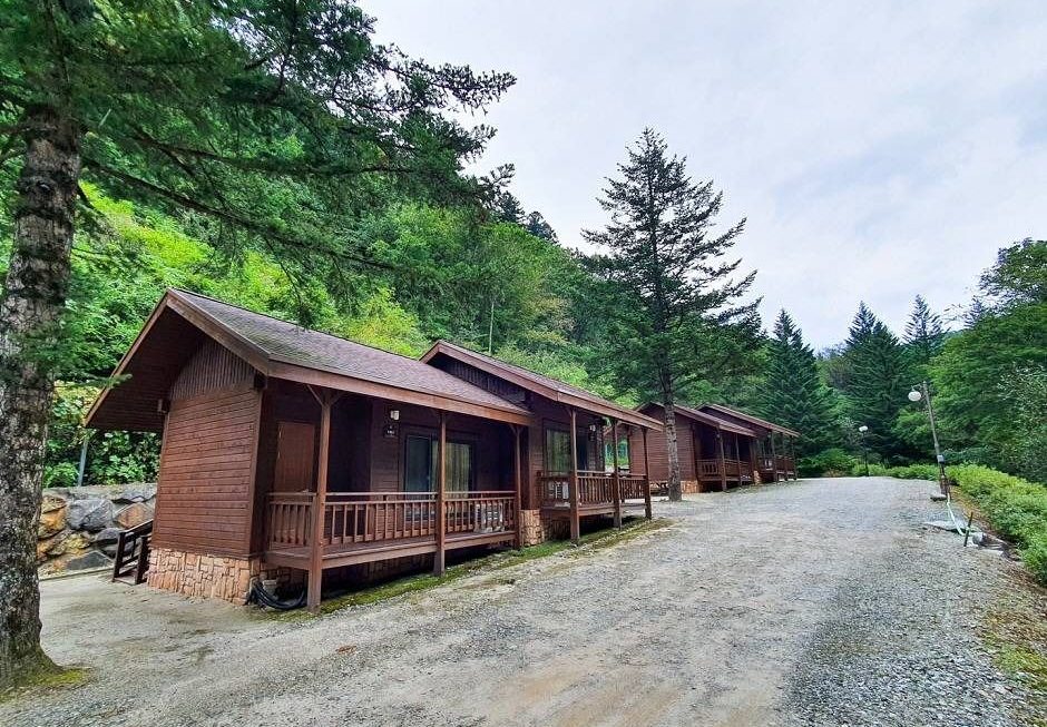 강원 홍천 국립삼봉자연휴양림, 피톤치드 가득한 힐링 산책, 계절별 풍경