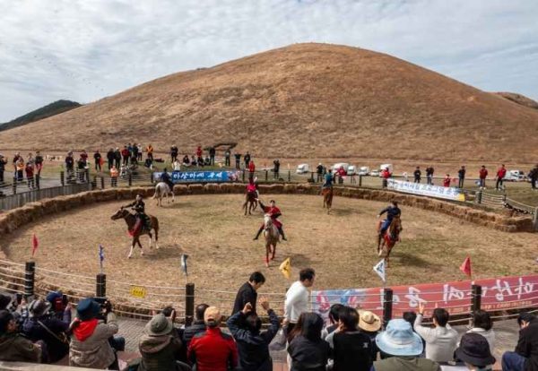 제주 애월 봉성리에서 만나는 들불축제, 불빛과 바다의 황홀한 밤